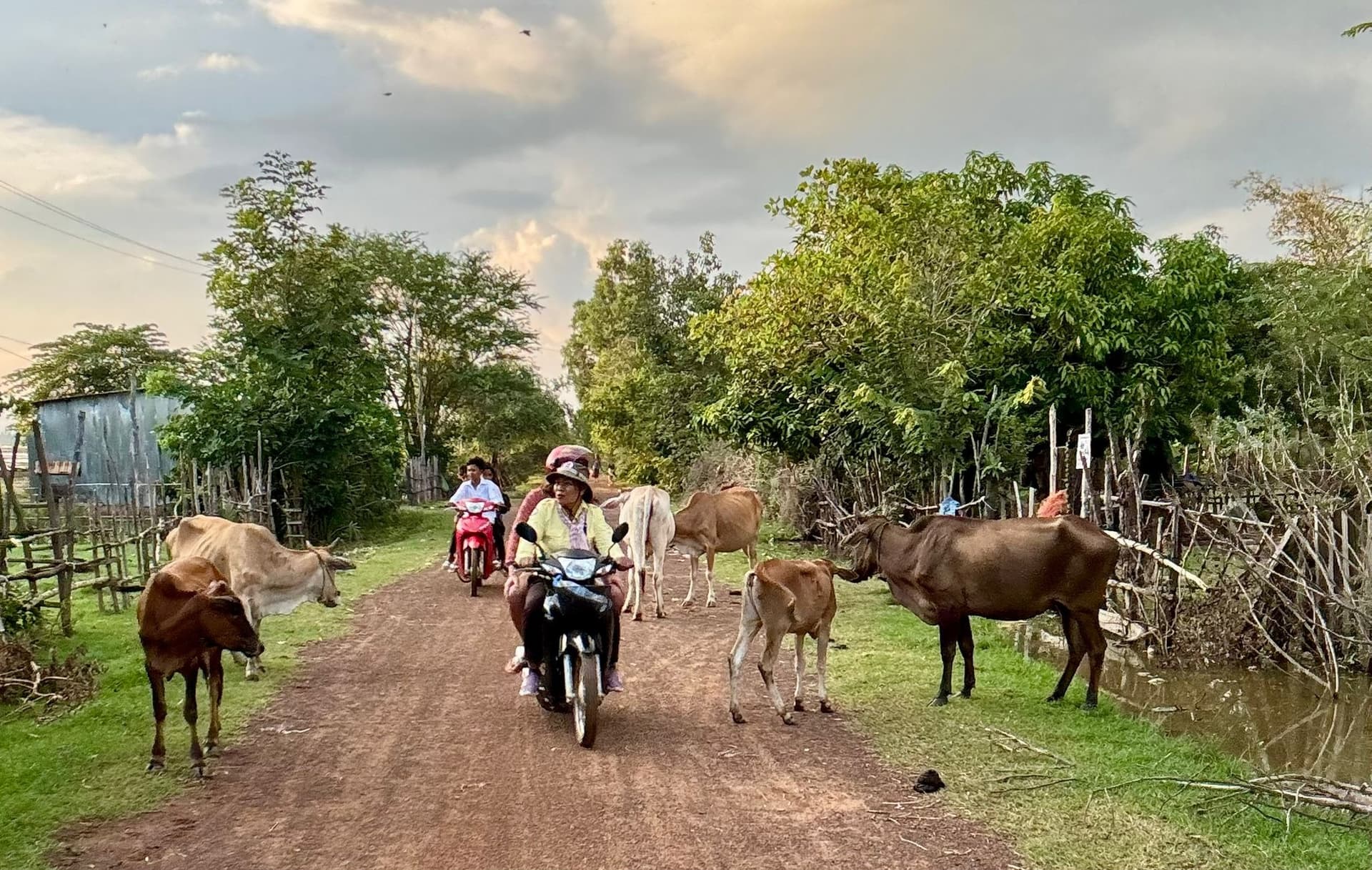 Tour di Kampong Thom in scooter