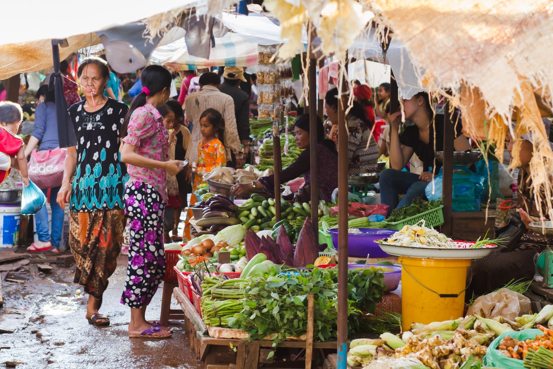 Ratanakiri tra diversità naturale e culturale
