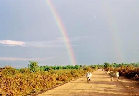 Attività imperdibili da fare a Battambang