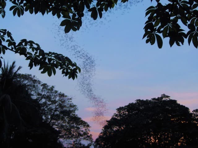 La montagna di Phnom Sampov