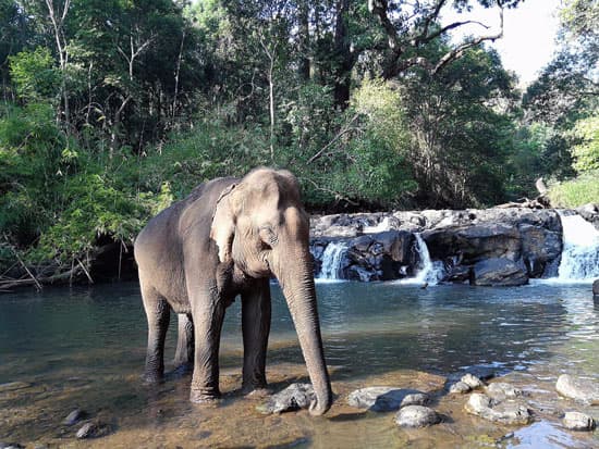 Mondulkiri: una regione della Cambodge che merita una visita